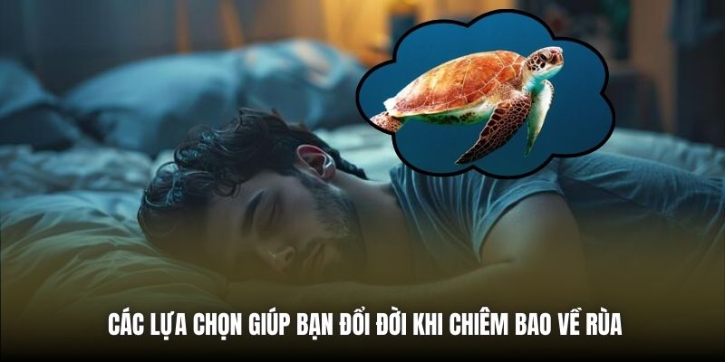Các lựa chọn giúp bạn đổi đời khi chiêm bao về rùa
