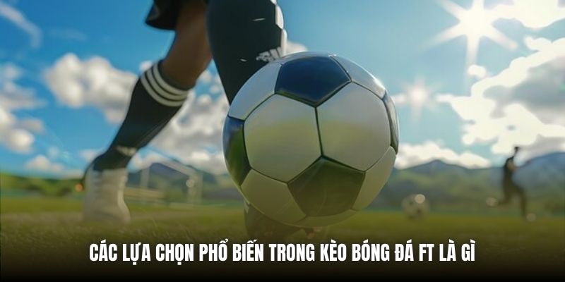 Các lựa chọn phổ biến trong kèo bóng đá FT là gì
