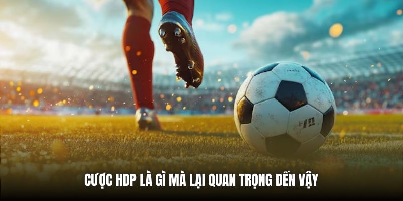 Cược HDP là gì mà lại quan trọng đến vậy