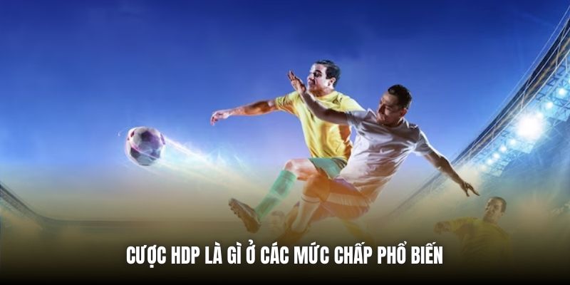 Cược HDP là gì ở các mức chấp phổ biến