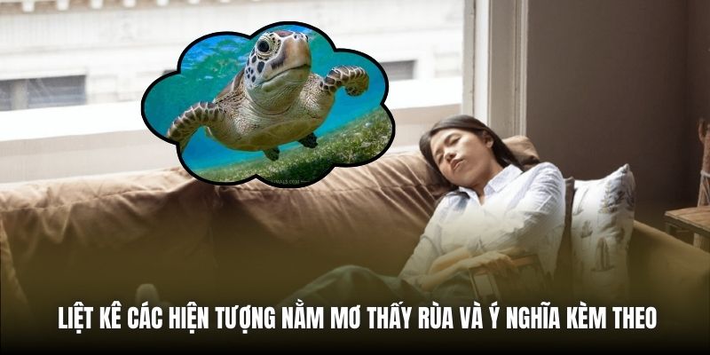 Liệt kê các hiện tượng nằm mơ thấy rùa và ý nghĩa kèm theo