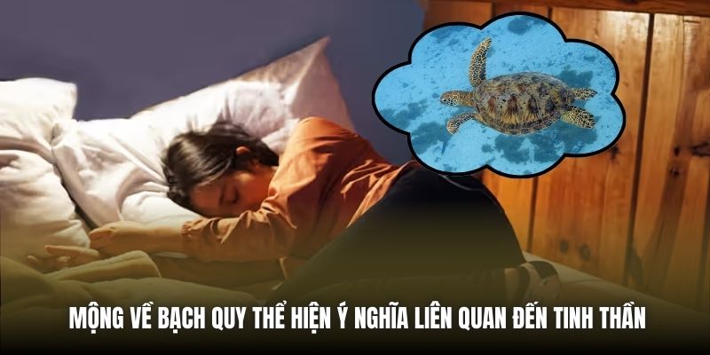 Mộng về bạch quy thể hiện ý nghĩa liên quan đến tinh thần