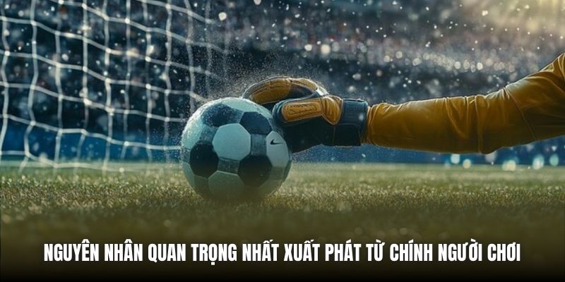 Nguyên nhân quan trọng nhất xuất phát từ chính người chơi 