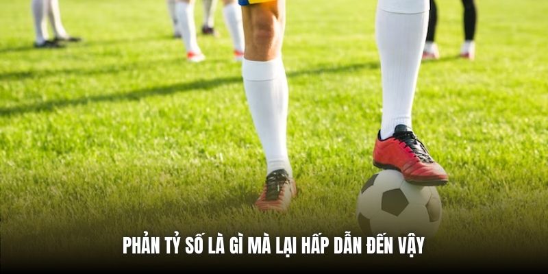 Phản tỷ số là gì mà lại hấp dẫn đến vậy